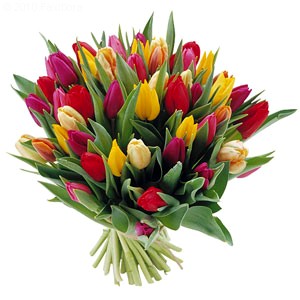Fiori per la festa della mamma