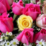 Fiori a domicilio per la festa della mamma grazie a Interflora Fiori a domicilio per la festa della mamma grazie a Interflora