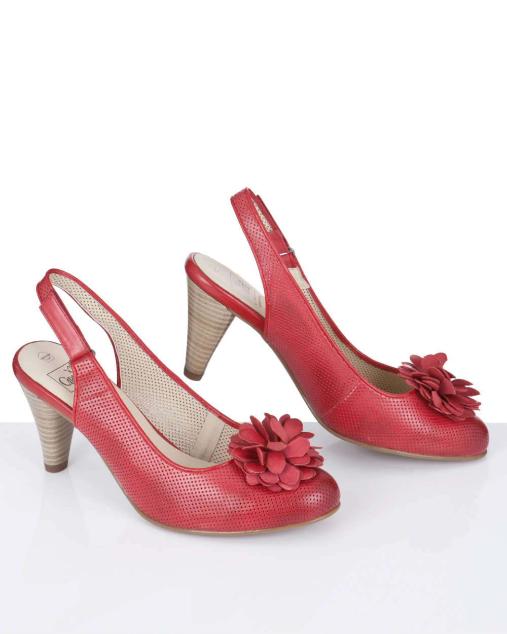 Eleganti Enjoy Donna Velluto Eleganti Scarpe da Tacco Scarpe Donna Donna b Donna Soireelady col Multi Scarpe Chiuse RqwXnIWpZ0. Benvenuto, Se state utilizzando un sintetizzatore vocale vi consigliamo di entrare in modalità