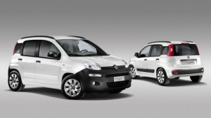 Nuova Fiat Panda Van 2012