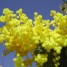 8 marzo 2013: idee regalo per la festa della donna