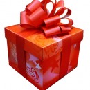 HSE24: il regalo giusto per Natale